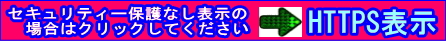 サイバーレップスHTTPS表示